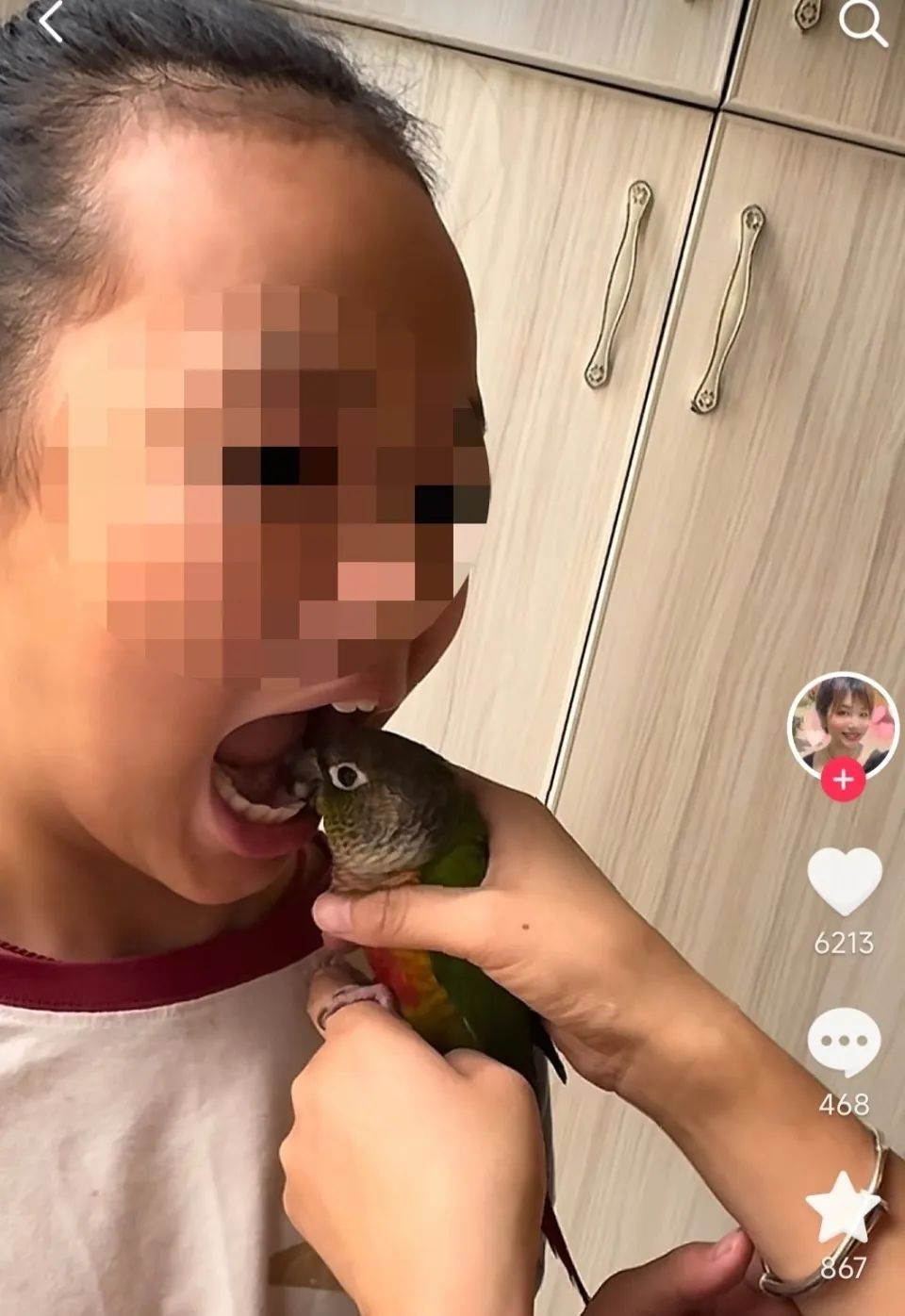 女子用鹦鹉为孩子拔牙，医生：或致感染鹦鹉热、禽流感
