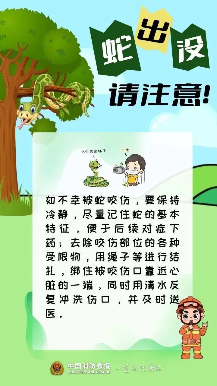 柳州一医院发热门诊外惊现大蛇！有毒无毒？专家辨认：性情温顺