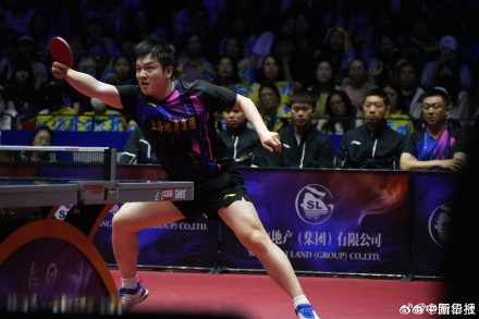 樊振东乒超获6连胜 樊振东乒超获6连胜