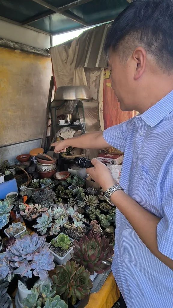 “一阵钻心的痛”,佛山九旬阿伯午休时大拇指被蜈蚣咬伤:不是第一次了 “一阵钻心的痛”,佛山九旬阿伯午休时大拇指被蜈蚣咬伤:不是第一次了