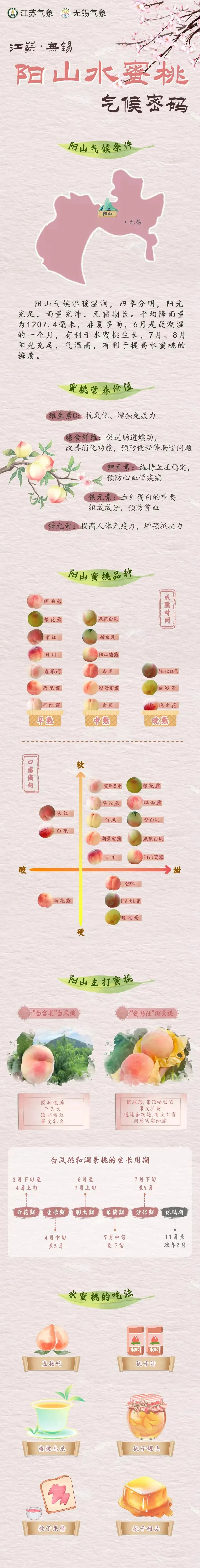 一口biu汁！馋了一年的无锡阳山水蜜桃来啦