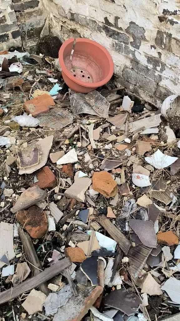 “一阵钻心的痛”,佛山九旬阿伯午休时大拇指被蜈蚣咬伤:不是第一次了 “一阵钻心的痛”,佛山九旬阿伯午休时大拇指被蜈蚣咬伤:不是第一次了