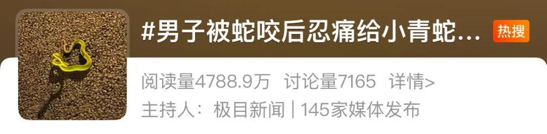 被毒蛇咬伤后抓蛇又被咬！每年超25万人中招，保命知识需扩散！