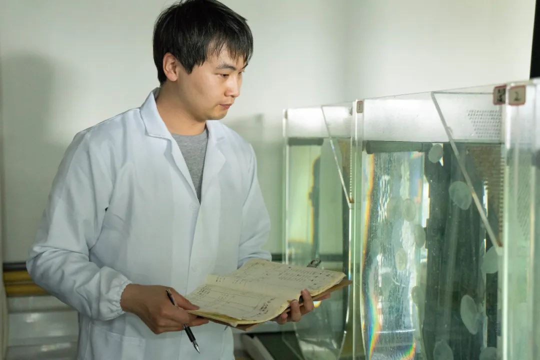 你好，这是我的名字“鱼人叶硝水母”，请多关照！