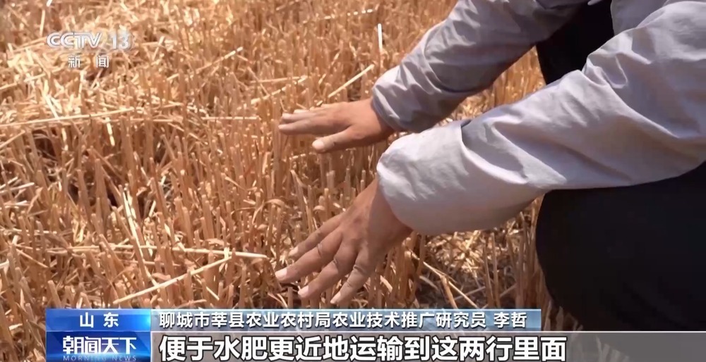 机损率仅0.5% 每亩多赚15元 科技助力夏收创造良性循环