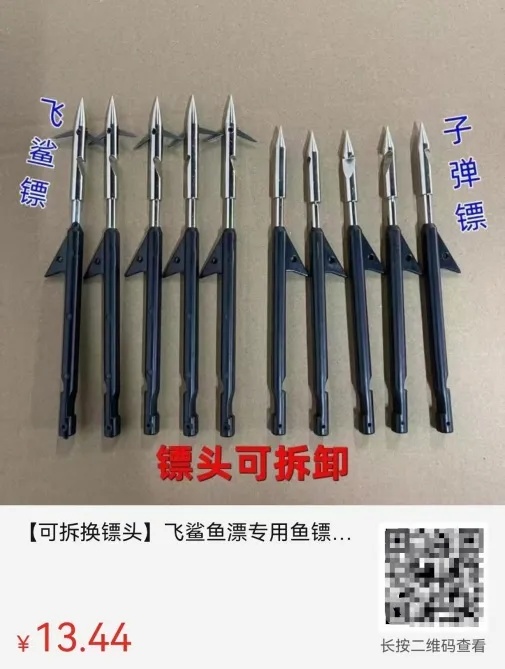 “没想到它还坚强地活着”，市民接力找寻7天！脸被射穿的流浪猫获救