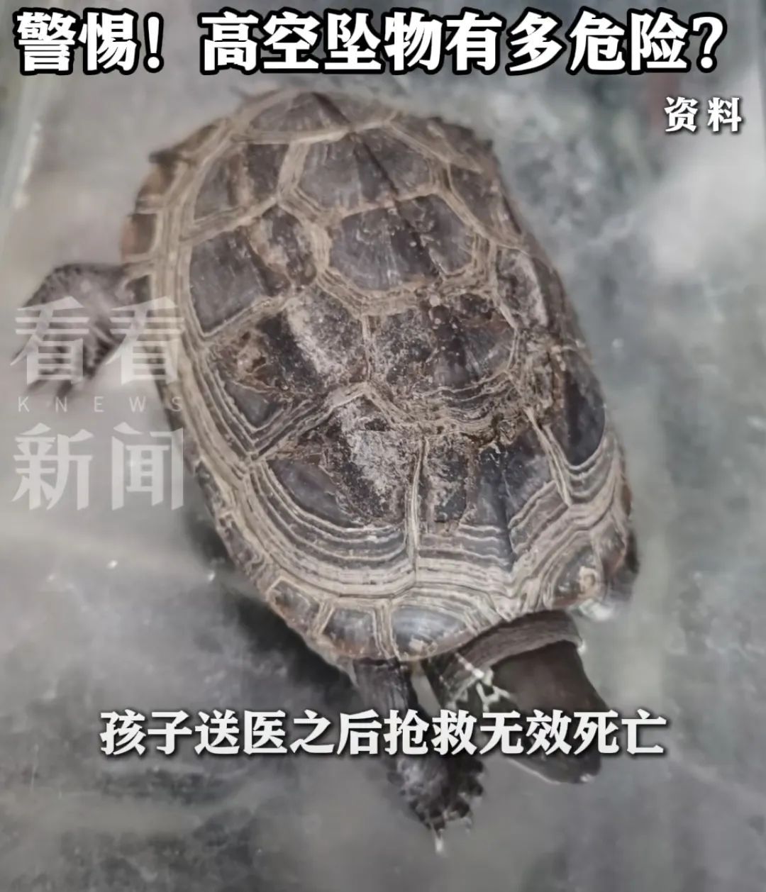 男孩在小区内意外身亡，原因令人难过