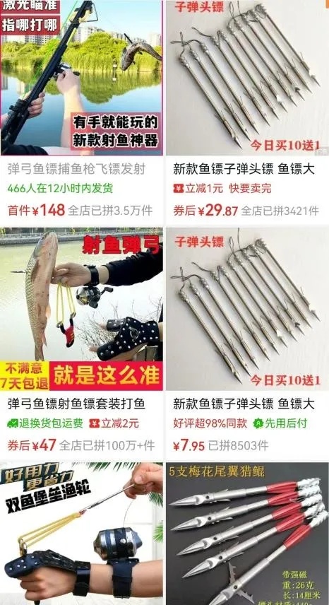 “没想到它还坚强地活着”，市民接力找寻7天！脸被射穿的流浪猫获救