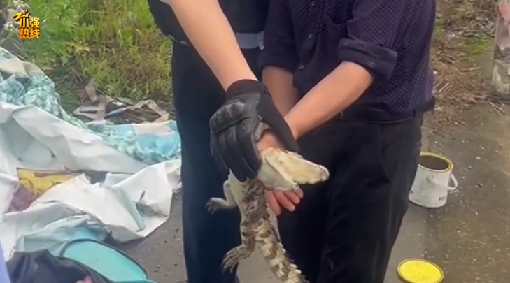 吓一大跳!浙江一男子钓鱼竟然钓到了…异常凶猛! 吓一大跳!浙江一男子钓鱼竟然钓到了…异常凶猛!