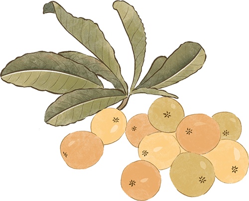 睡不好的原因找到了!想要睡个好觉,中医建议您这样做…… 睡不好的原因找到了!想要睡个好觉,中医建议您这样做……