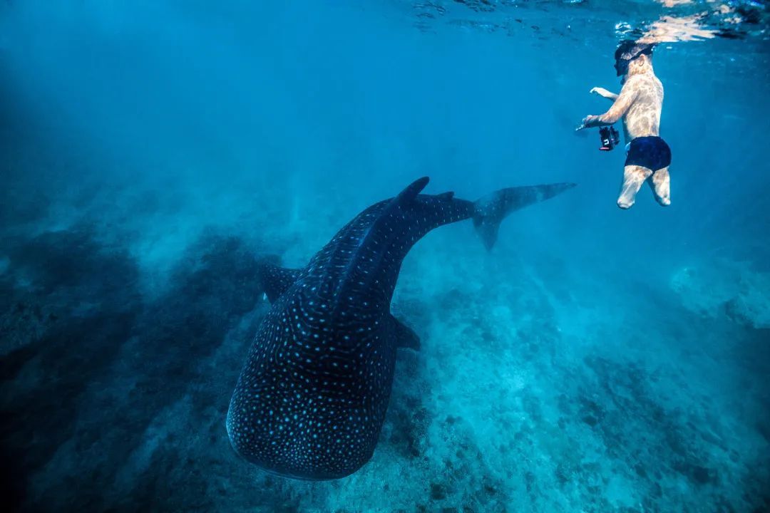 7天最高赚16万元!这个“边旅游边赚钱”的职业,火了 7天最高赚16万元!这个“边旅游边赚钱”的职业,火了