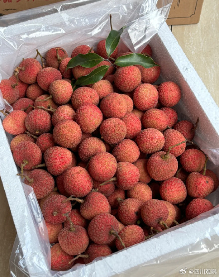 专家建议一天最多吃12颗荔枝大约300g，孩子尽量控制在5颗内