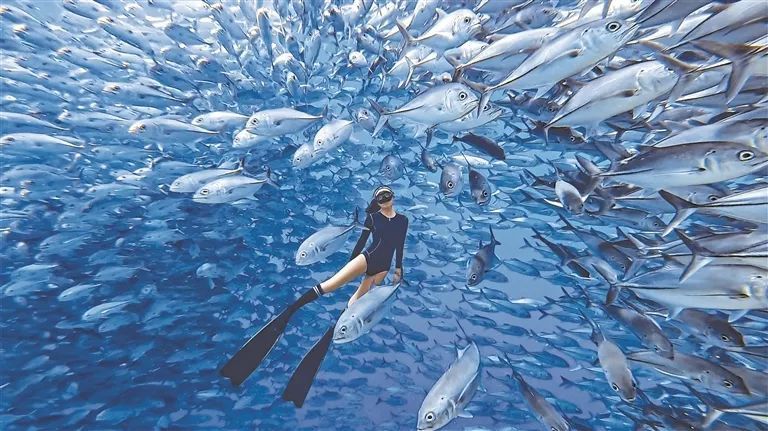 7天最高赚16万元!这个“边旅游边赚钱”的职业,火了 7天最高赚16万元!这个“边旅游边赚钱”的职业,火了