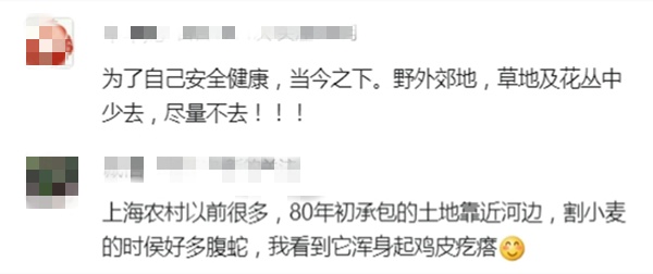 事发上海长宁区！男子开车途中突然吓懵！挡风玻璃惊现“黑影”...