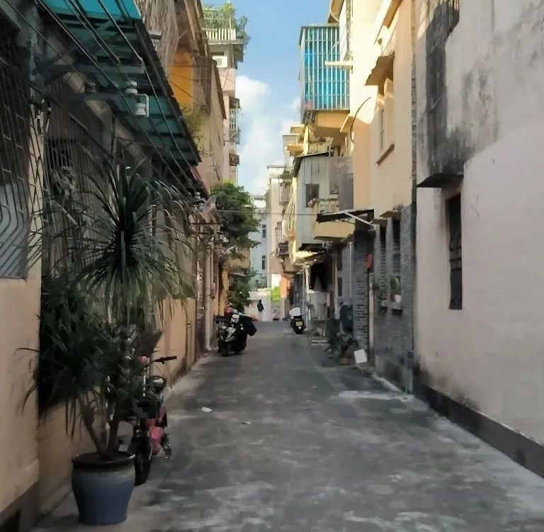 @上海人：入梅后小心这种毒虫！被咬后钻心疼痛，还有人呼吸困难紧急送医……