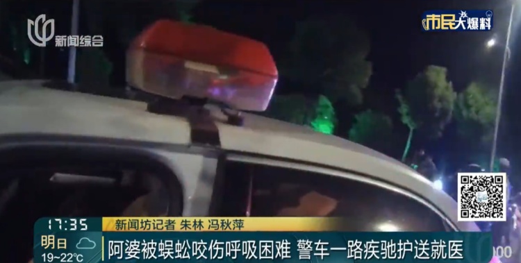 头皮发麻！上海人家里居然也有蜈蚣？比白蚁更可怕，被咬后一阵钻心的痛