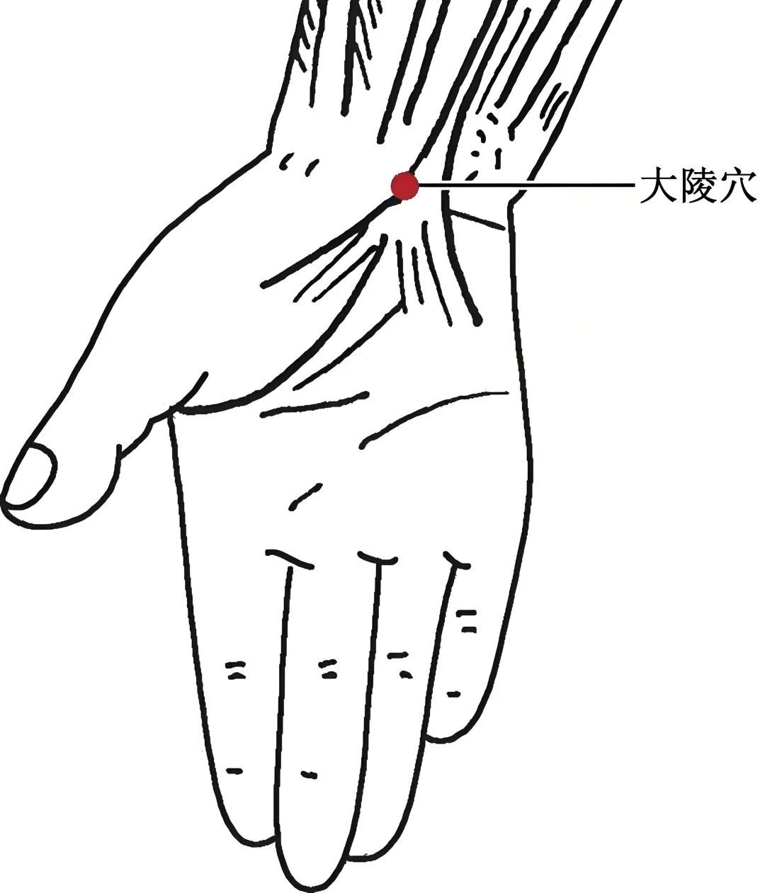暑热之夏,易扰乱心神!按揉这4穴,养心安神、解郁降火 暑热之夏,易扰乱心神!按揉这4穴,养心安神、解郁降火