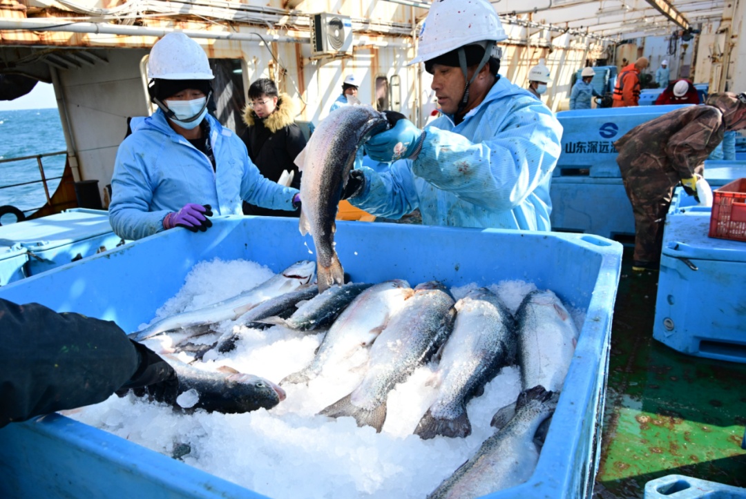 产量稳居世界首位!为了这“一口鲜”,出招→ 产量稳居世界首位!为了这“一口鲜”,出招→