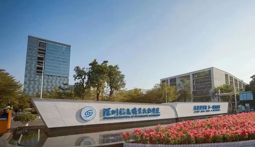深圳本科大学+1