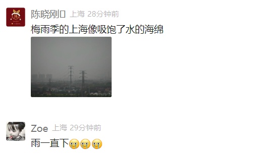 @上海人：入梅后小心这种毒虫！被咬后钻心疼痛，还有人呼吸困难紧急送医……