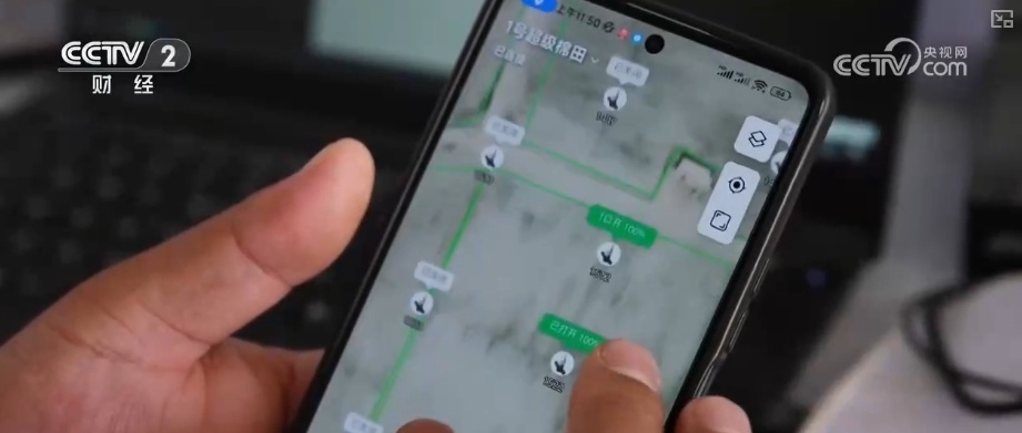 4482.3万亩，“智慧管家”赋能！棉花种植数字化、精准化、远程化