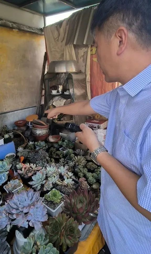 头皮发麻！上海人家里居然也有蜈蚣？比白蚁更可怕，被咬后一阵钻心的痛