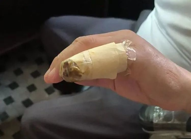 头皮发麻！上海人家里居然也有蜈蚣？比白蚁更可怕，被咬后一阵钻心的痛
