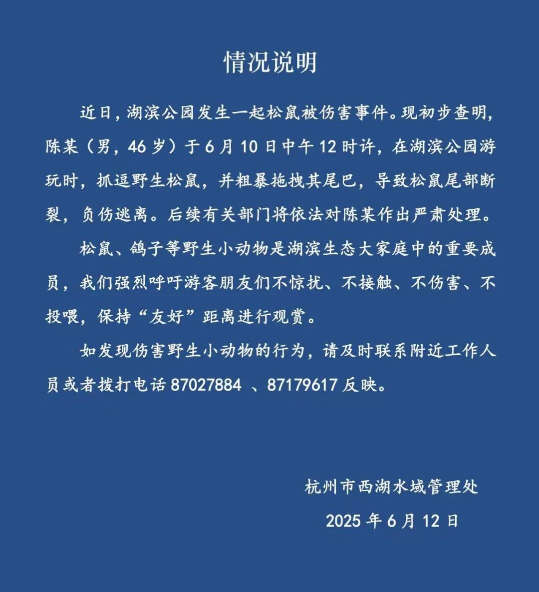 官方通报“西湖边松鼠被伤害事件”:陈某(男,46岁)粗暴拽断尾巴,将严肃处理! 官方通报“西湖边松鼠被伤害事件”:陈某(男,46岁)粗暴拽断尾巴,将严肃处理!