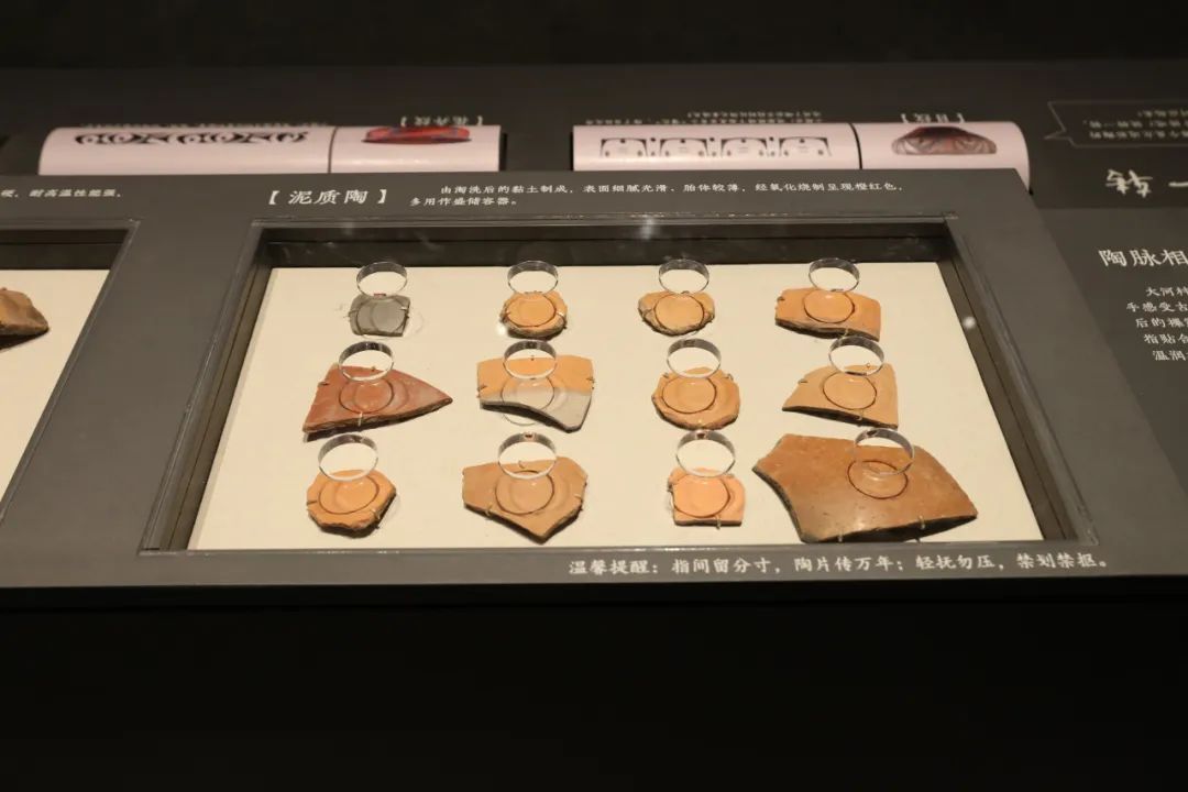 郑州又一博物馆即将开馆试运行→