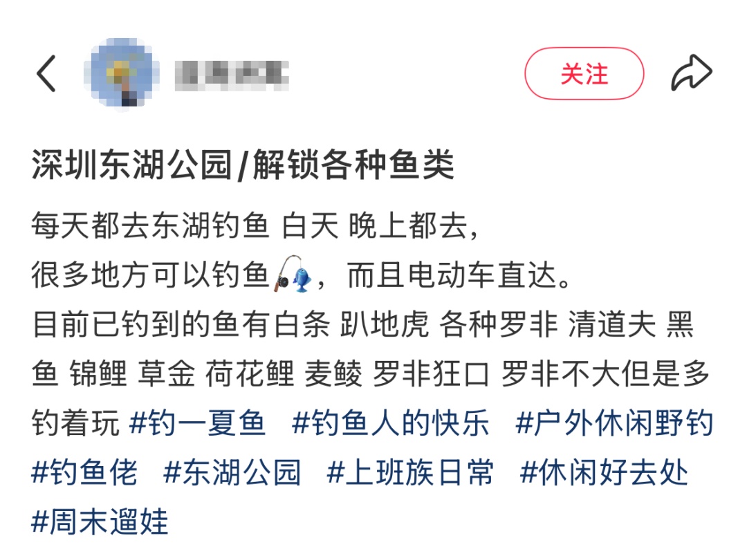 “深圳东湖公园的鱼可以吃吗？”