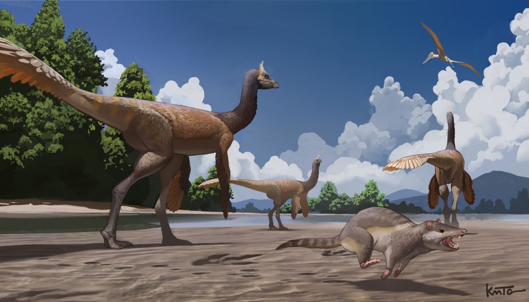 这一足迹,南方首次发现! 这一足迹,南方首次发现!