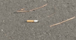 中心温度可达800℃！你还敢随手乱丢吗？