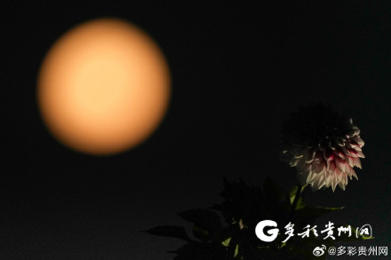 贵阳现18.6年一遇最低满月