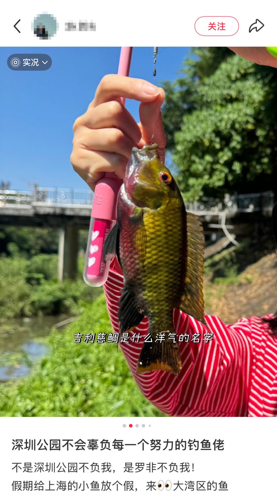 “深圳东湖公园的鱼可以吃吗？”