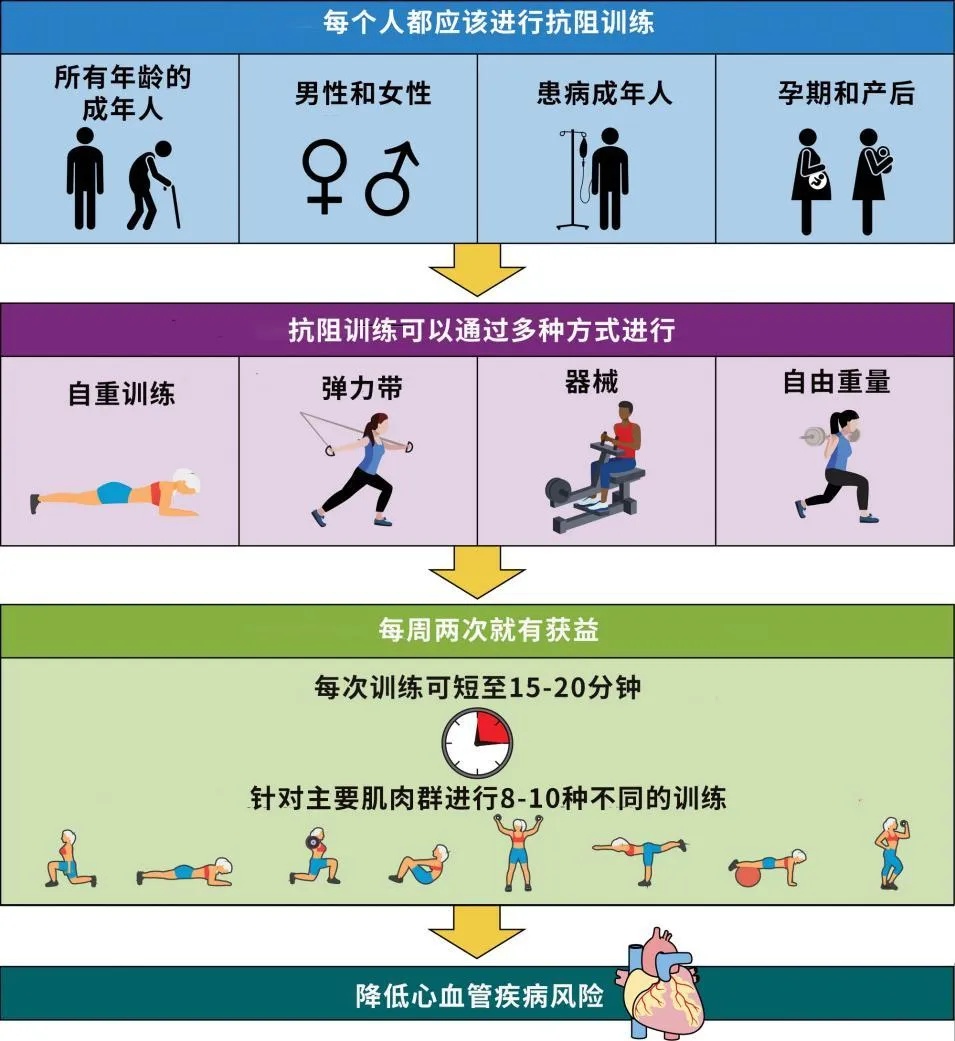 每周2次这类运动，有助于改善心血管功能
