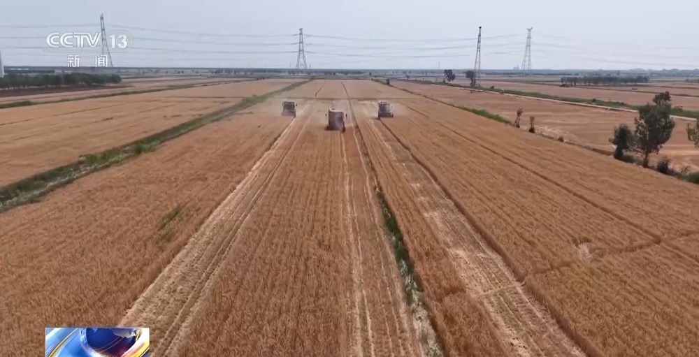 盐分降一半多 产量涨25%!看盐碱地如何变身“丰收田” 盐分降一半多 产量涨25%!看盐碱地如何变身“丰收田”