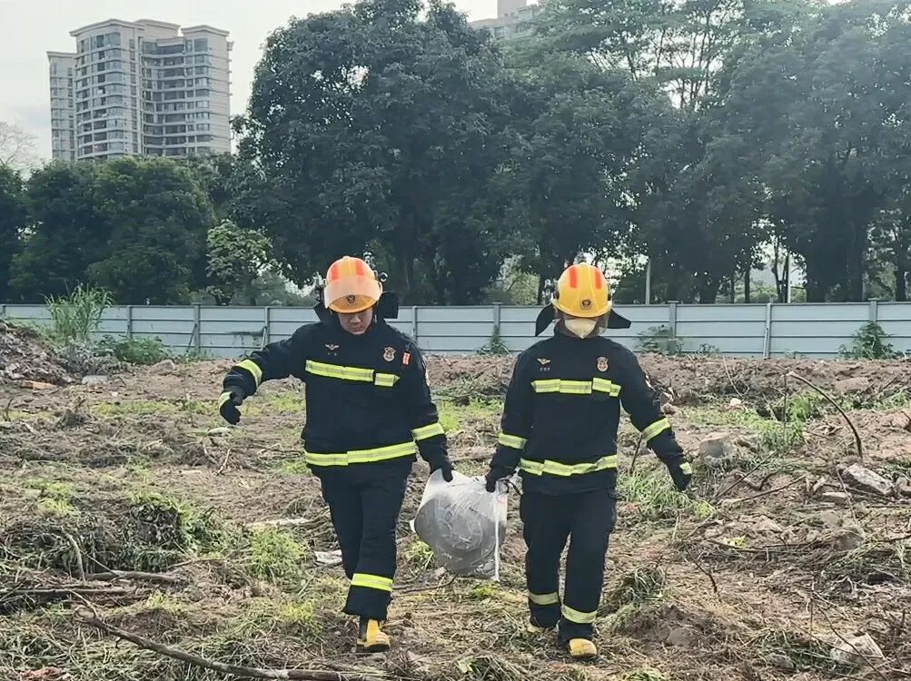 广东一工地惊现2.3米长蟒蛇