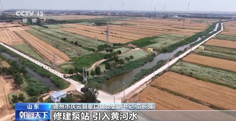 盐分降一半多 产量涨25%!看盐碱地如何变身“丰收田” 盐分降一半多 产量涨25%!看盐碱地如何变身“丰收田”