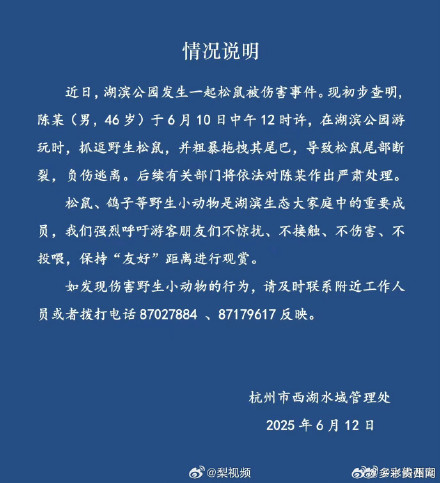 西湖通报松鼠被游客拔断尾巴 西湖通报松鼠被游客拔断尾巴