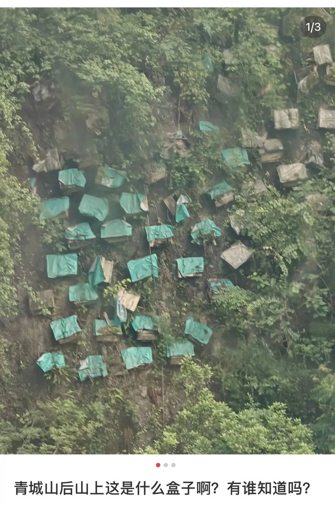 青城后山悬崖上有“悬棺”?景区回应 青城后山悬崖上有“悬棺”?景区回应