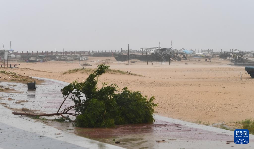 台风“蝴蝶”给海南带来强风雨