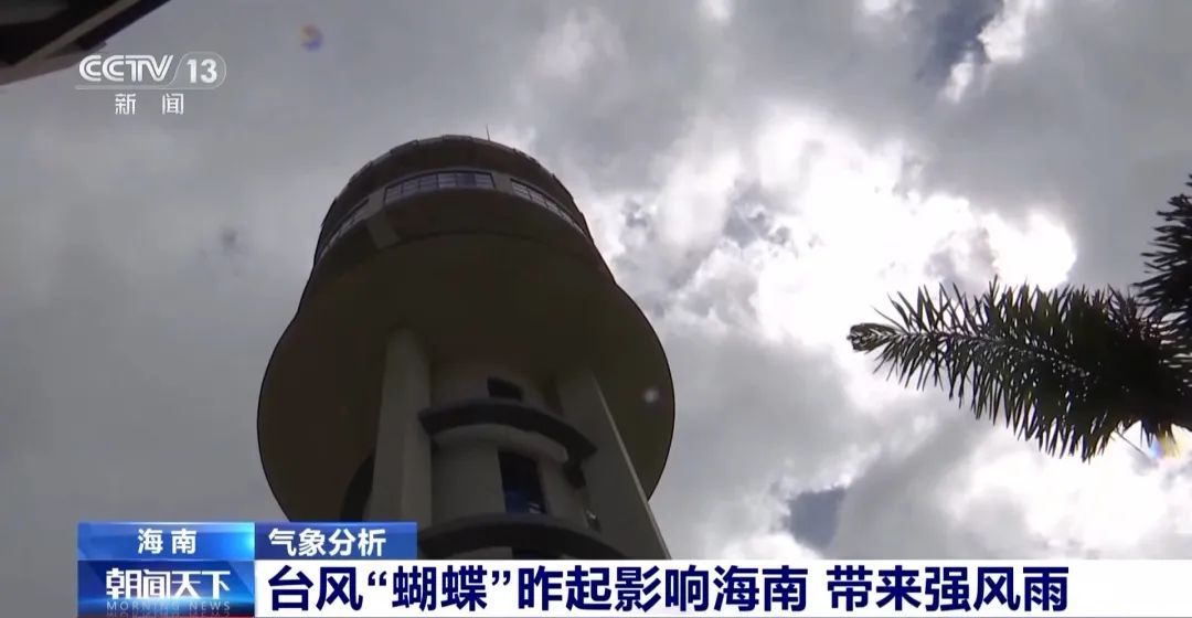 直击台风“蝴蝶”！沿岸树木被吹歪，多地停航、停运、停课→