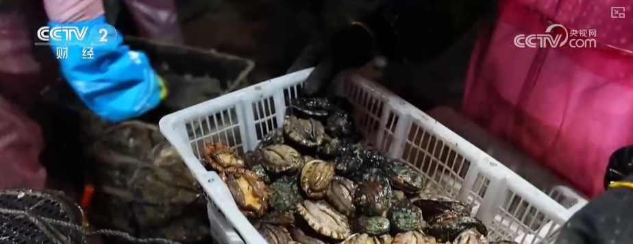 夏日经济“热”起来 “菜篮子”“果盘子”抢“鲜”上市购销两旺