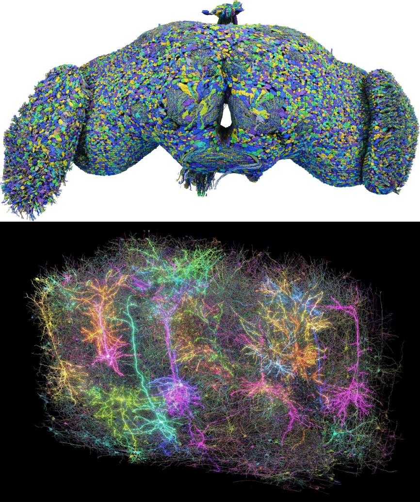 数字化永生的科学与幻想:我们能把意识上传至电脑吗 数字化永生的科学与幻想:我们能把意识上传至电脑吗