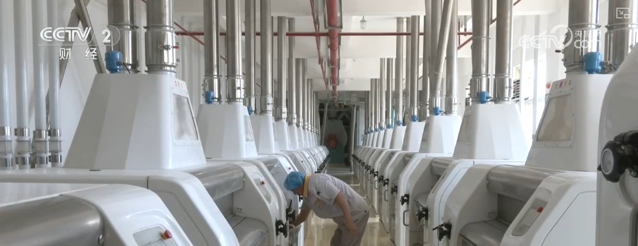 政策保障“托底”、消费需求向好……多重利好有力支撑国内小麦市场