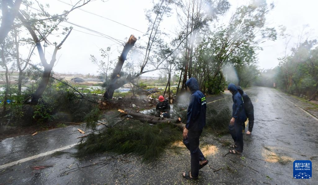 台风“蝴蝶”给海南带来强风雨