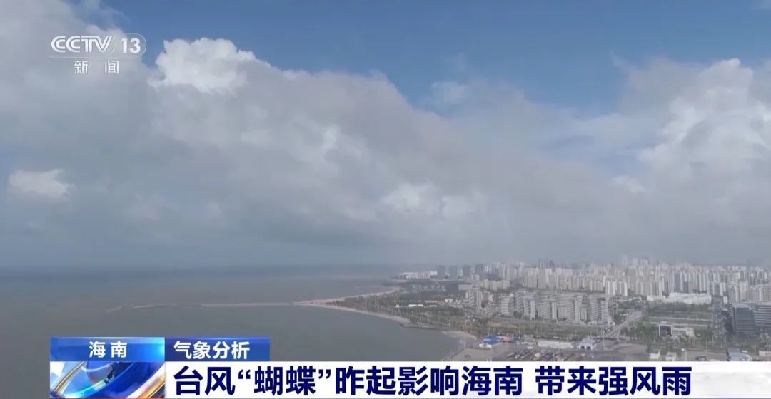 直击台风“蝴蝶”！沿岸树木被吹歪，多地停航、停运、停课→