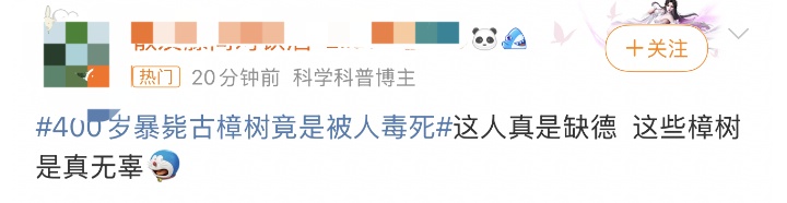 近400岁古树“暴毙”后，老板前来询购……真相让人愤怒！
