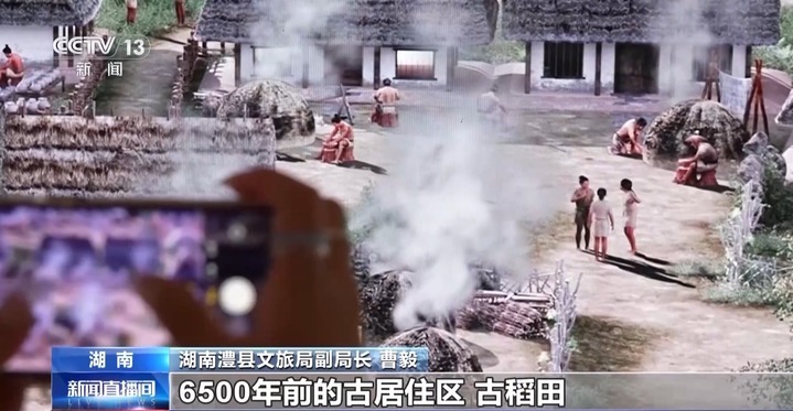 6500年前的古居住区长啥样?城头山遗址邀你来打卡 6500年前的古居住区长啥样?城头山遗址邀你来打卡