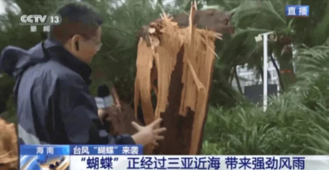“蝴蝶”即将登陆，广东超百个台风预警生效，广铁部分列车停运→